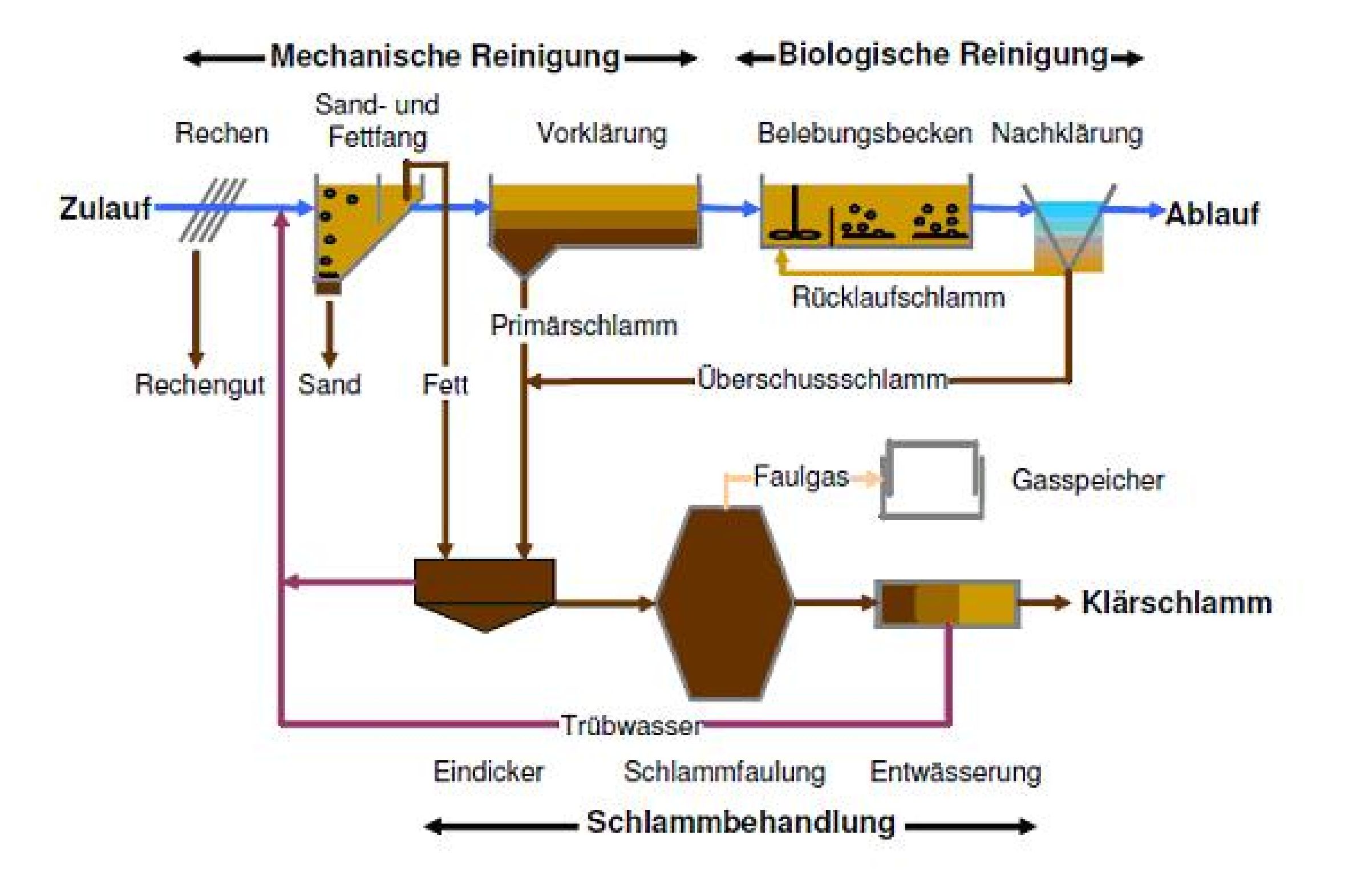 How does a sewage treatment plant work?